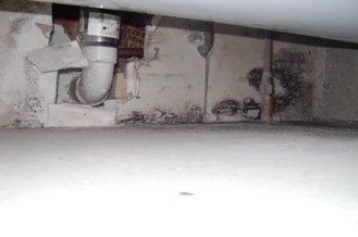 Basement Mold