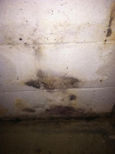 Basement Water Damage