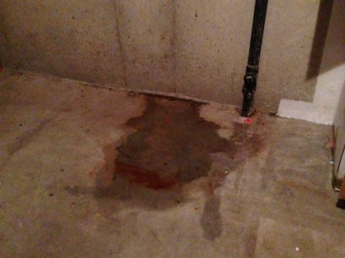 Basement Water Intrusion