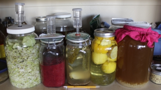 Ferments