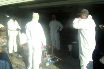 Mold Remediation