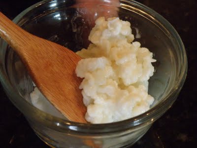 Kefir Grains