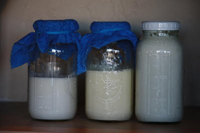 Kefir Jars