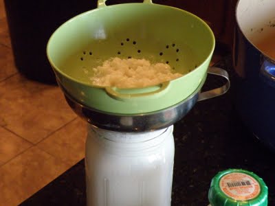 Kefir in Strainer