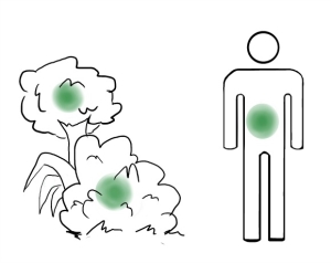 Microbial Allies Graphic (drawing by Ryan Fabry)