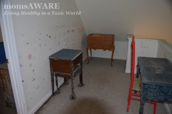 Mold Growth in Home