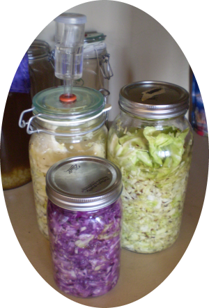 Vegetable Ferments