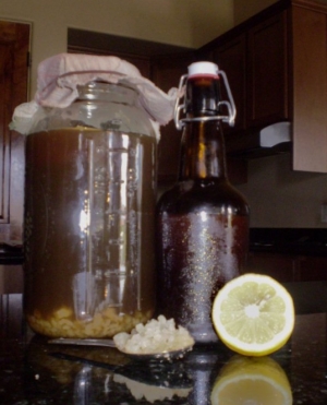 Water Kefir